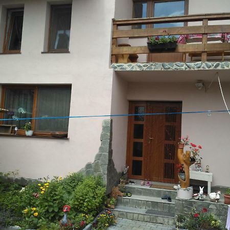 Casa Teo Otel Ocna Sibiului Dış mekan fotoğraf