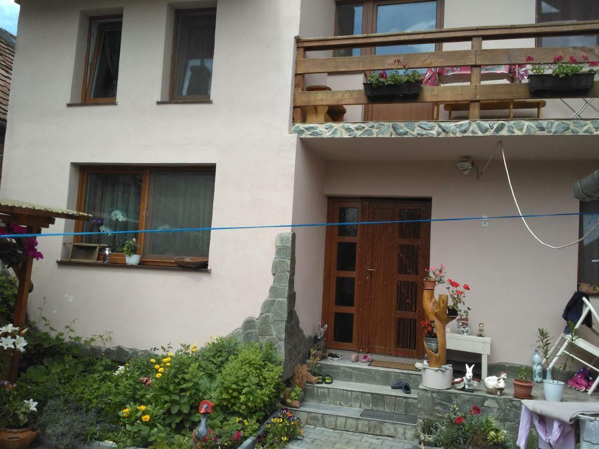 Casa Teo Otel Ocna Sibiului Dış mekan fotoğraf